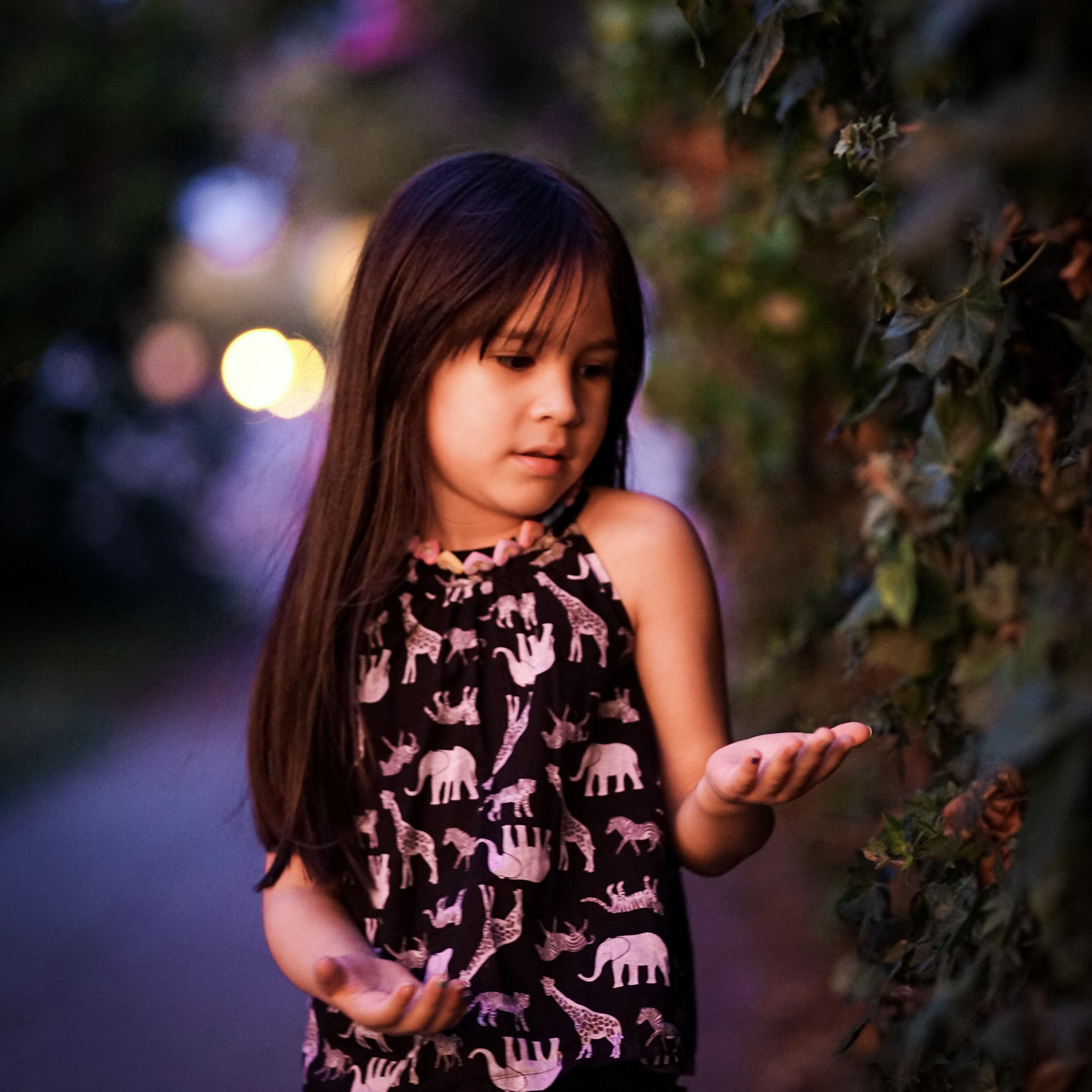 Isabella